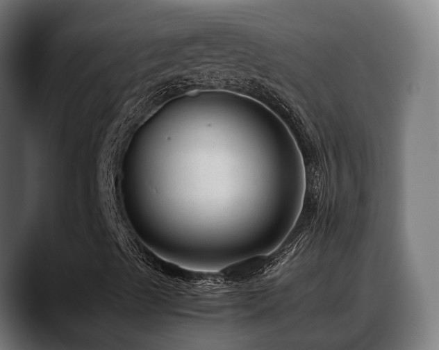 X0000088661489200705251511