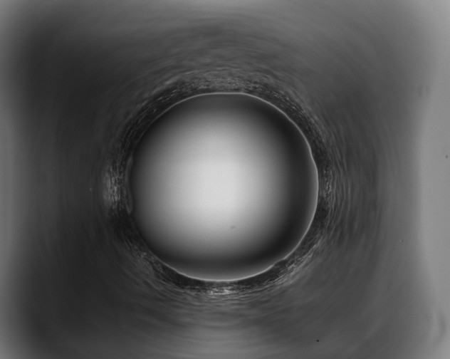 X0000088661490200705251511