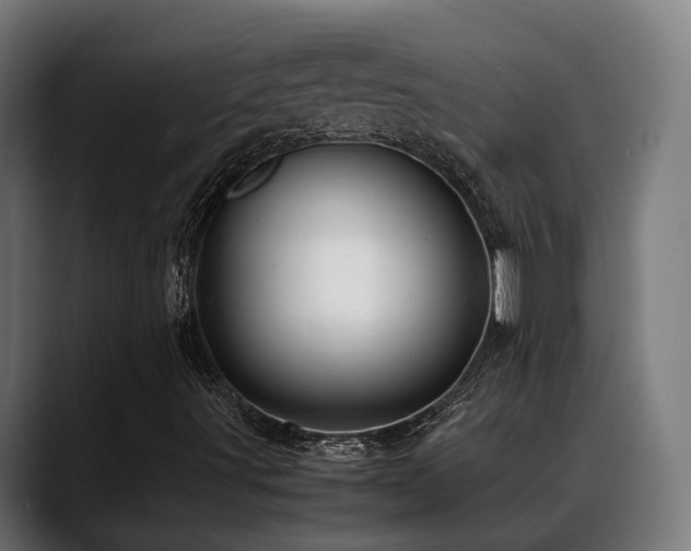 X0000088661491200705251511