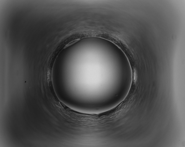 X0000088661492200705251511