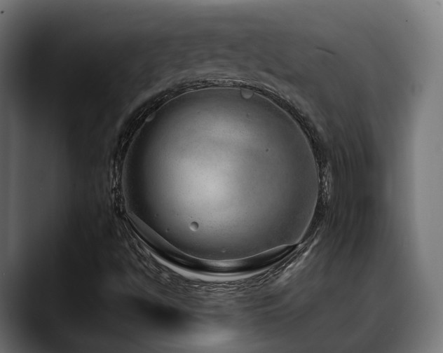 X0000088661494200705251511