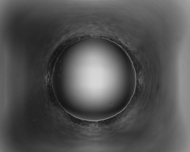 X0000088661495200705251511