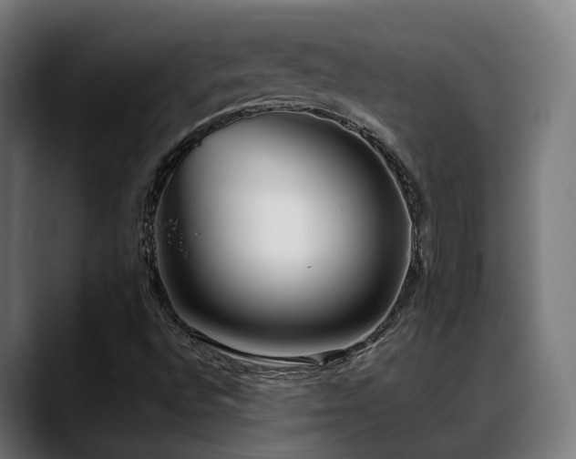 X0000088661496200705251511