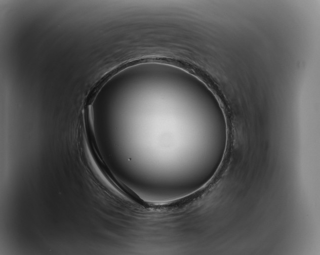 X0000088661497200705251511