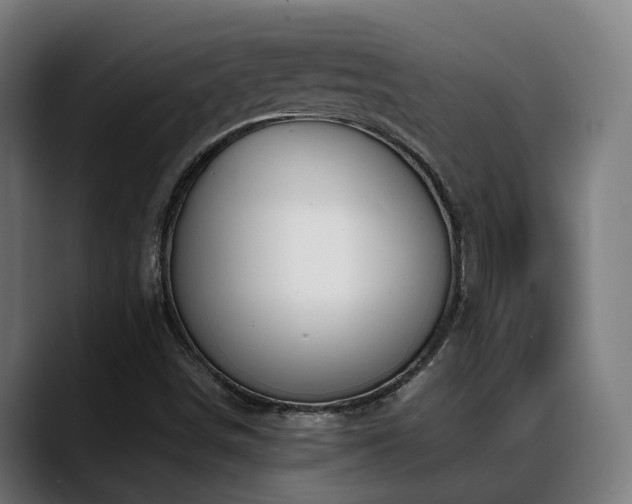 X0000088661498200705251511