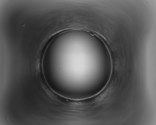 X0000088661499200705251511