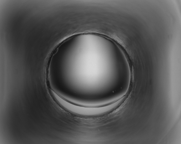 X0000088661500200705251511