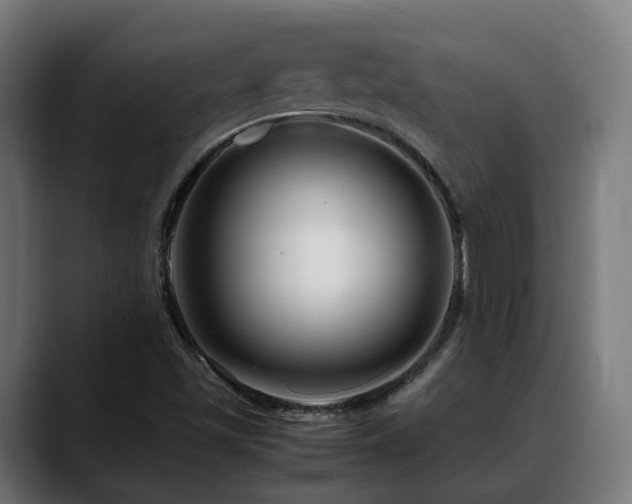 X0000088661501200705251511