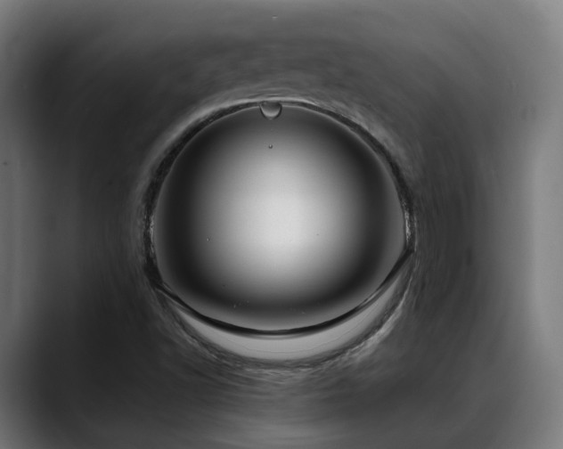 X0000088661502200705251512