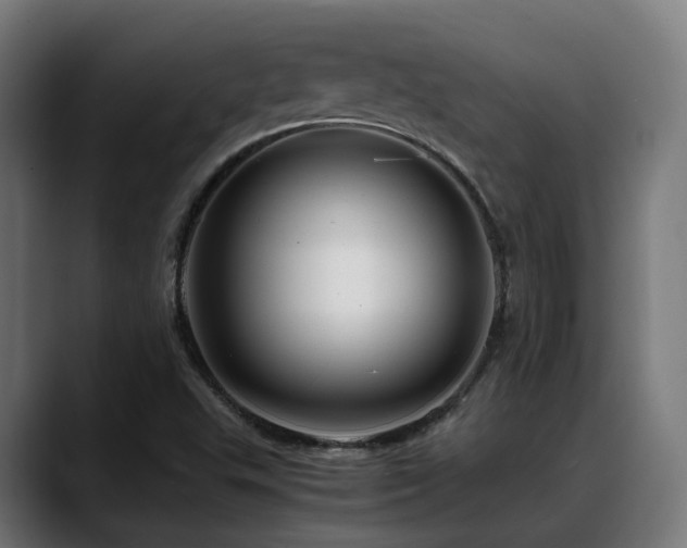 X0000088661503200705251512