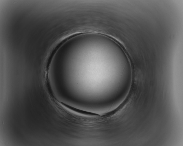 X0000088661507200705251512