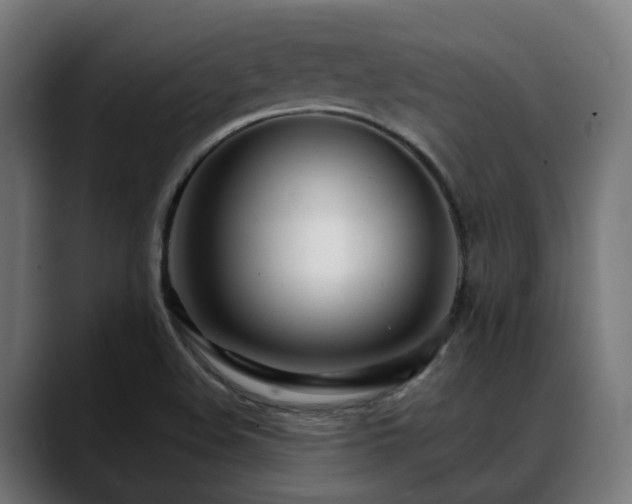 X0000088661508200705251512