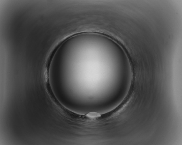 X0000088661509200705251512