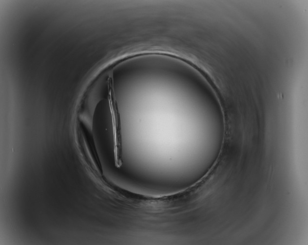 X0000088661511200705251512