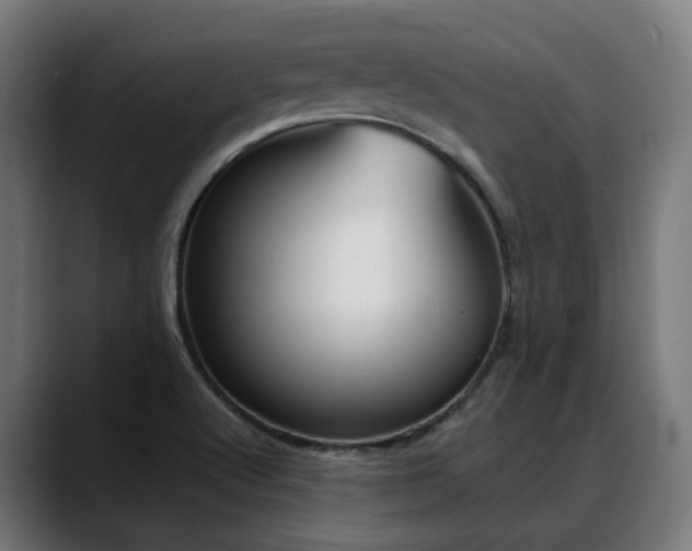 X0000088661512200705251512