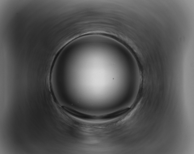 X0000088661513200705251512