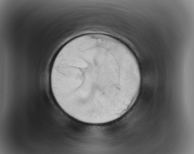 X0000088661514200705251512