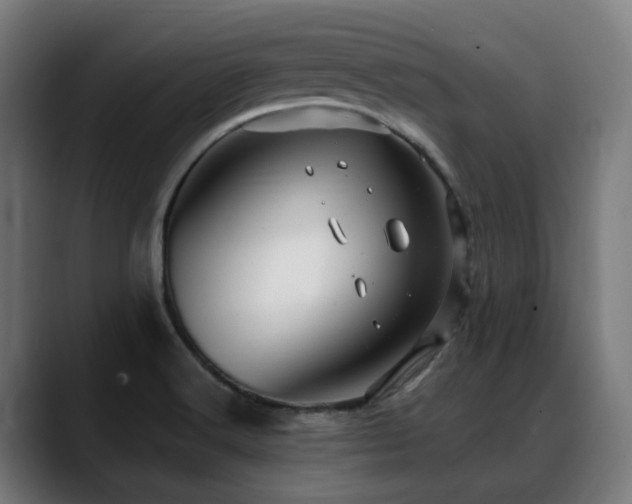 X0000088661516200705251512