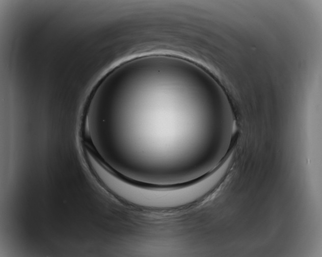 X0000088661518200705251512