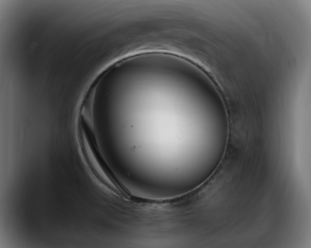 X0000088661519200705251512