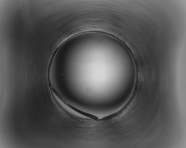 X0000088661521200705251512