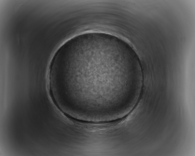 X0000088661522200705251512