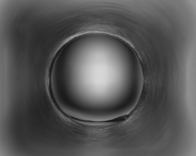 X0000088661523200705251512