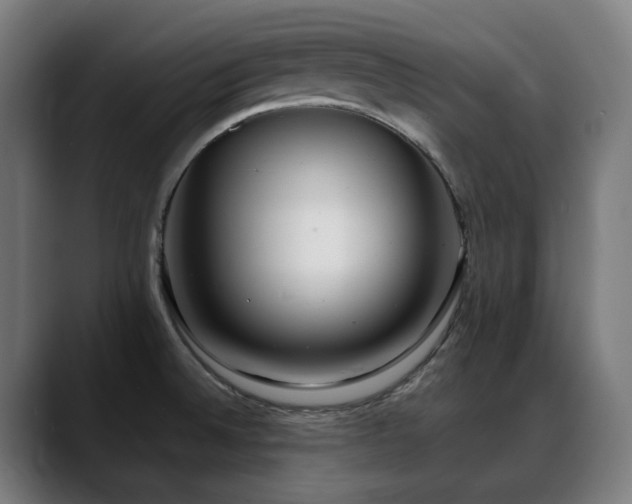 X0000088661524200705251512