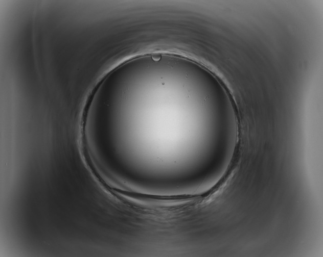 X0000088661525200705251512