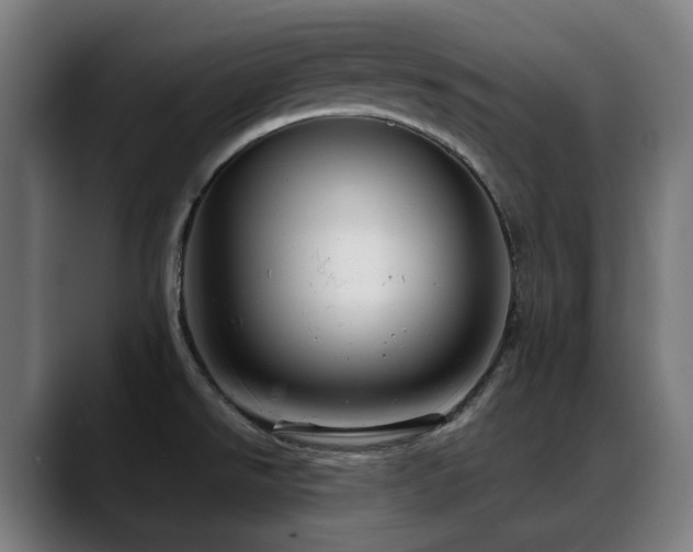 X0000088661526200705251512