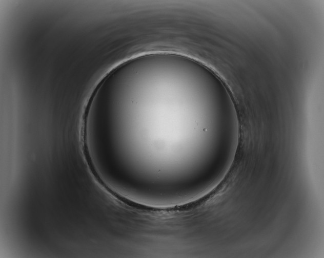 X0000088661527200705251512