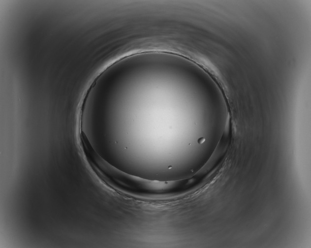 X0000088661528200705251512