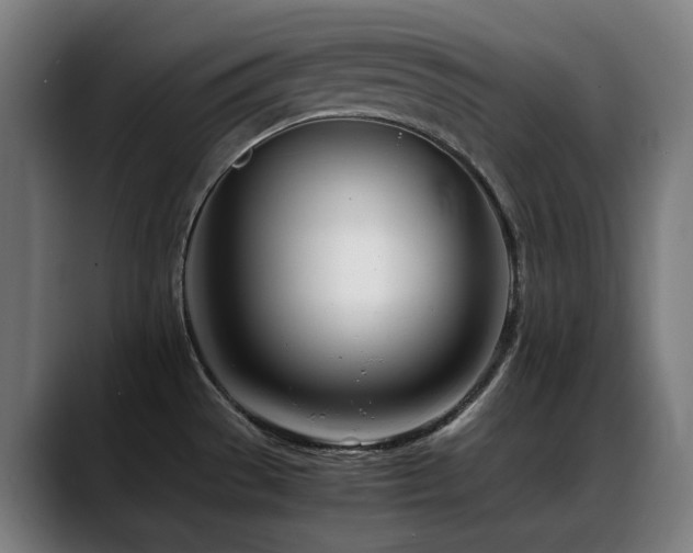 X0000088661529200705251512