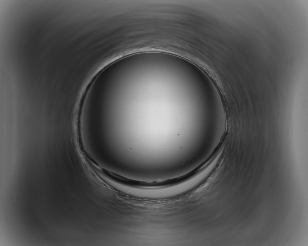 X0000088661530200705251512