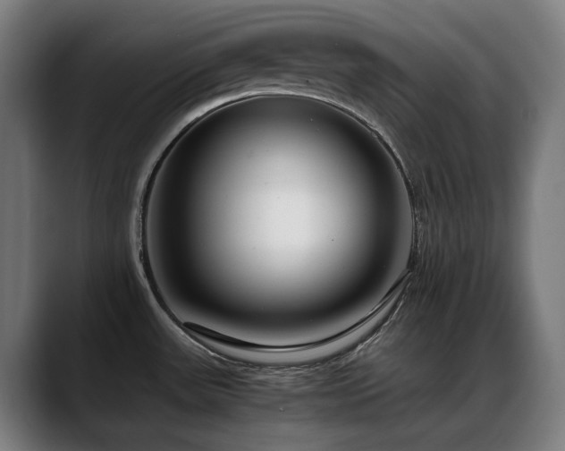 X0000088661531200705251512