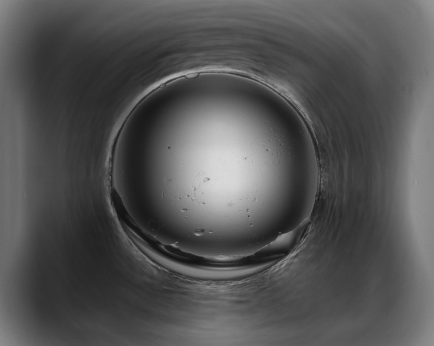 X0000088661532200705251512