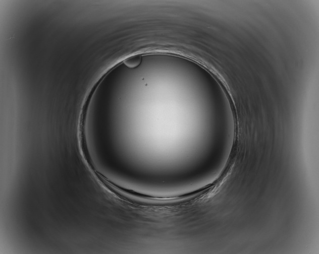 X0000088661533200705251512