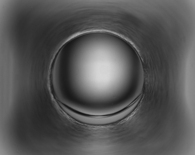 X0000088661534200705251512