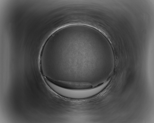 X0000088661535200705251512