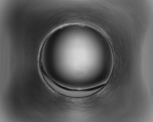 X0000088661536200705251512