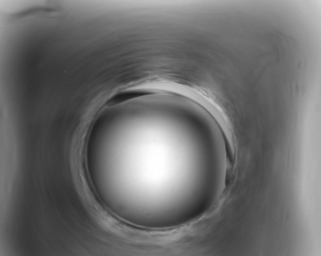 X0000088660001200706011248