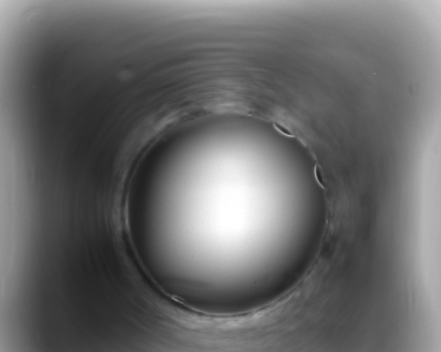 X0000088660002200706011248