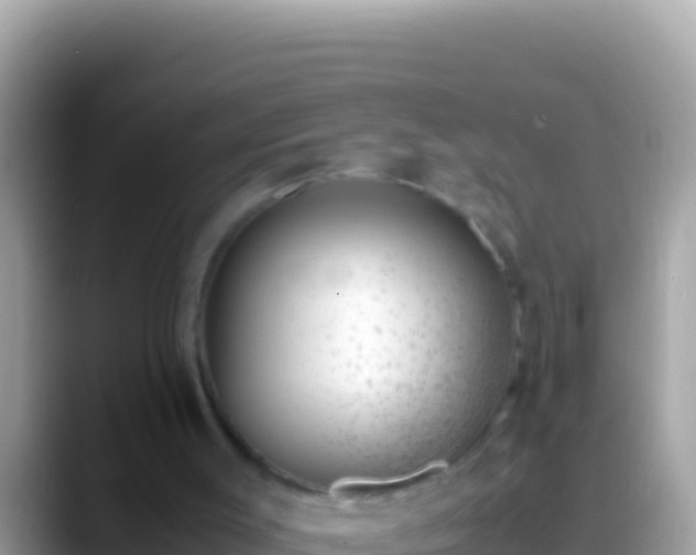 X0000088660003200706011248