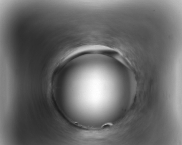 X0000088660005200706011248