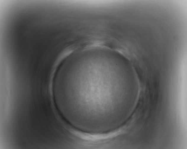 X0000088660006200706011248