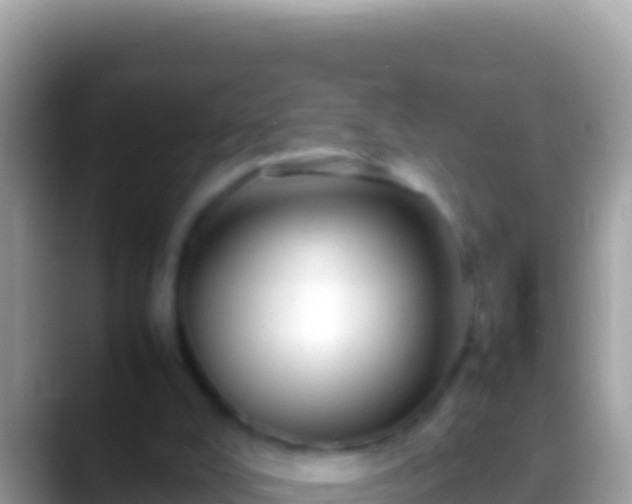 X0000088660008200706011248