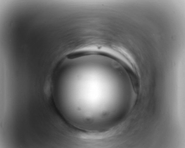 X0000088660009200706011248