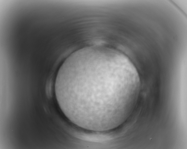 X0000088660012200706011248