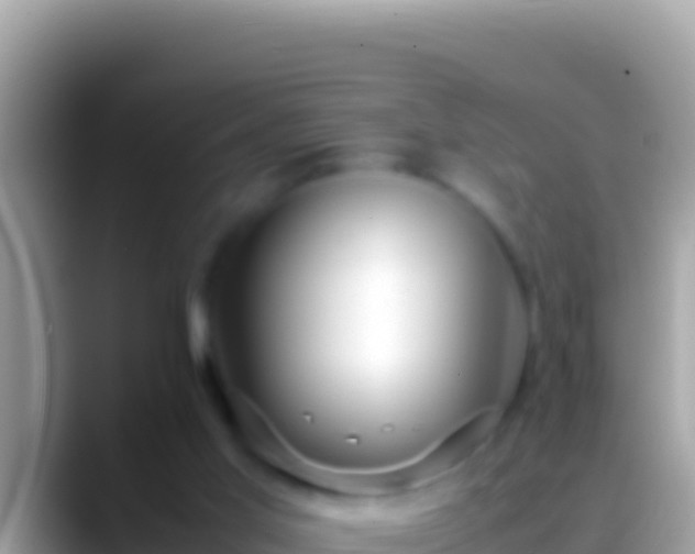 X0000088660013200706011248