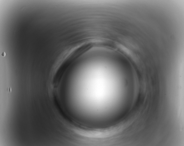 X0000088660015200706011248